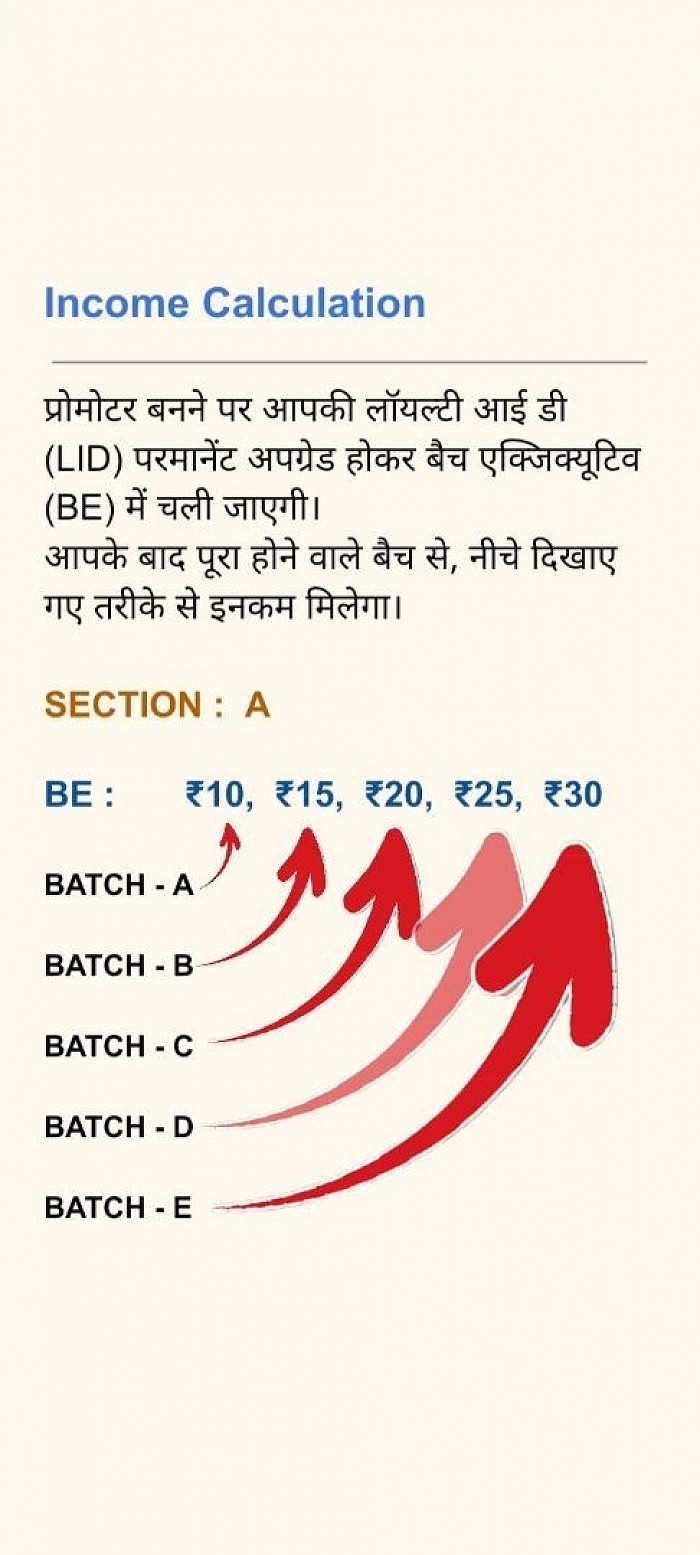 Loyalty Income Page d